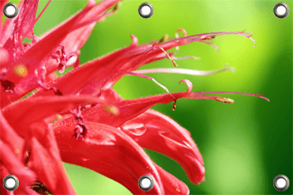 Tuinposter