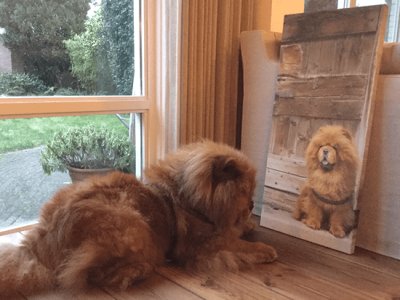 Dierenfoto op canvas