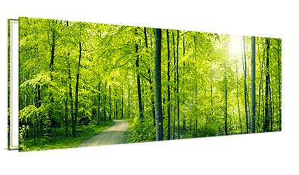 Panorama op canvas 200x100