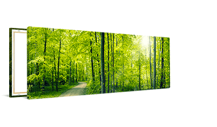 Panorama op canvas 40x20