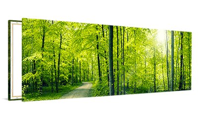 Panorama op canvas 120x60