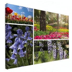 collage op canvas natuurfoto's