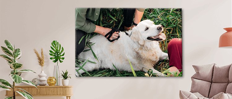 Eigen hond op canvas