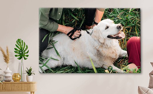 Eigen hond op canvas