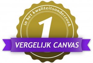 CanvasCompany als beste getest!