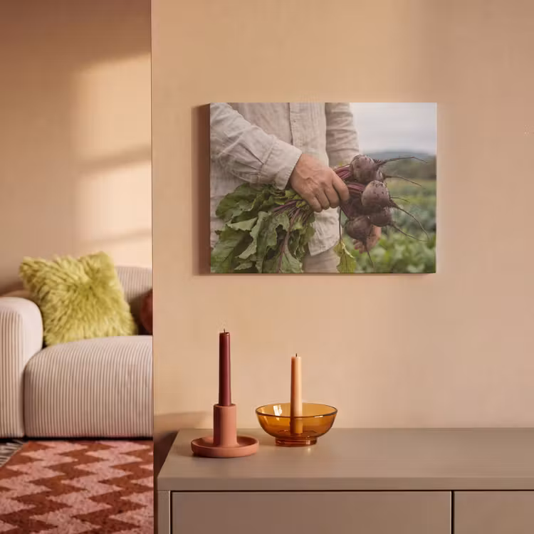 Akoestisch schilderij - Bieten - Vers - Moestuin — 2