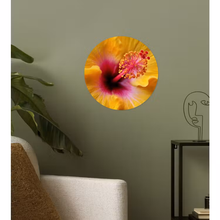 Behangcirkel - Geel - Hibiscus - Tropisch — 3