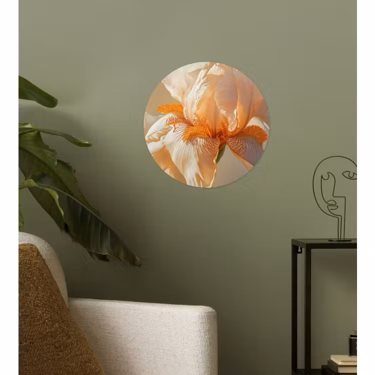 Behangcirkel - Close up - Oranje - Iris — 3