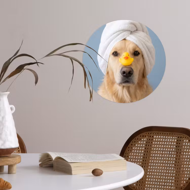Behangcirkel - Hond - Badeend - Geel — 4