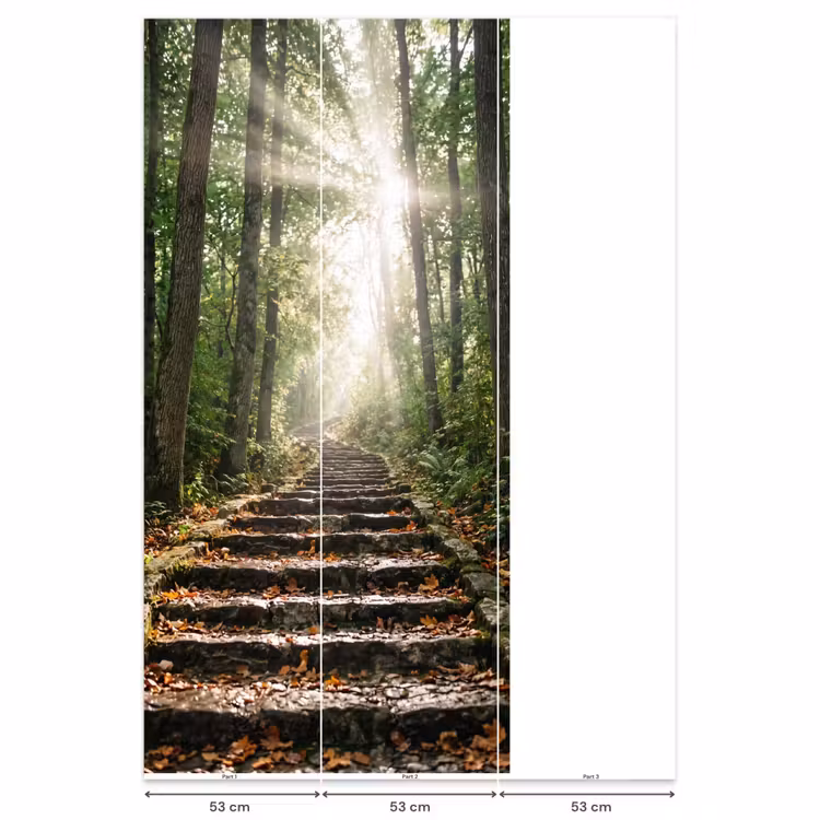 Behang - Stenen - Trap - Bos - Natuur — 6