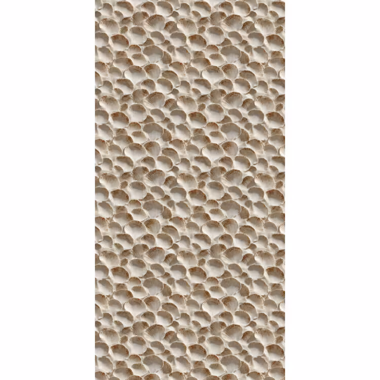 Behang - Schelpen - Waaiervorm - Wit — 2