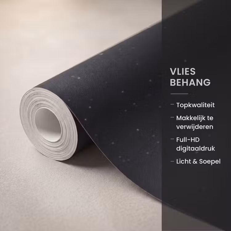 Behang - Maan - Kraters - Ruimte — 3
