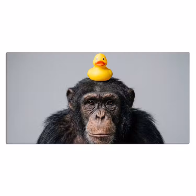 Bureau onderlegger - Chimpansee - Badeend - Grijs — 2