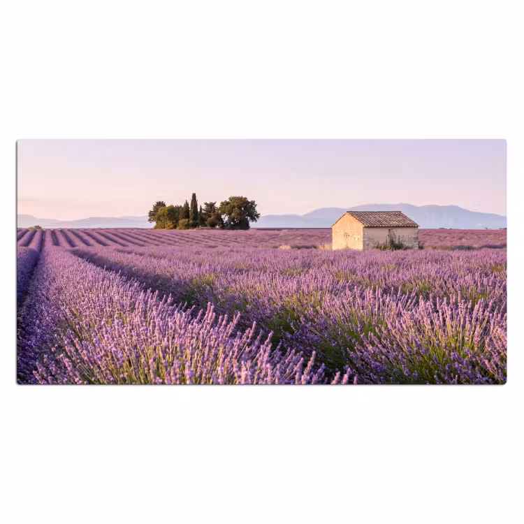 Bureau onderlegger - Lavendel - Landschap - Sereen - Paars — 2