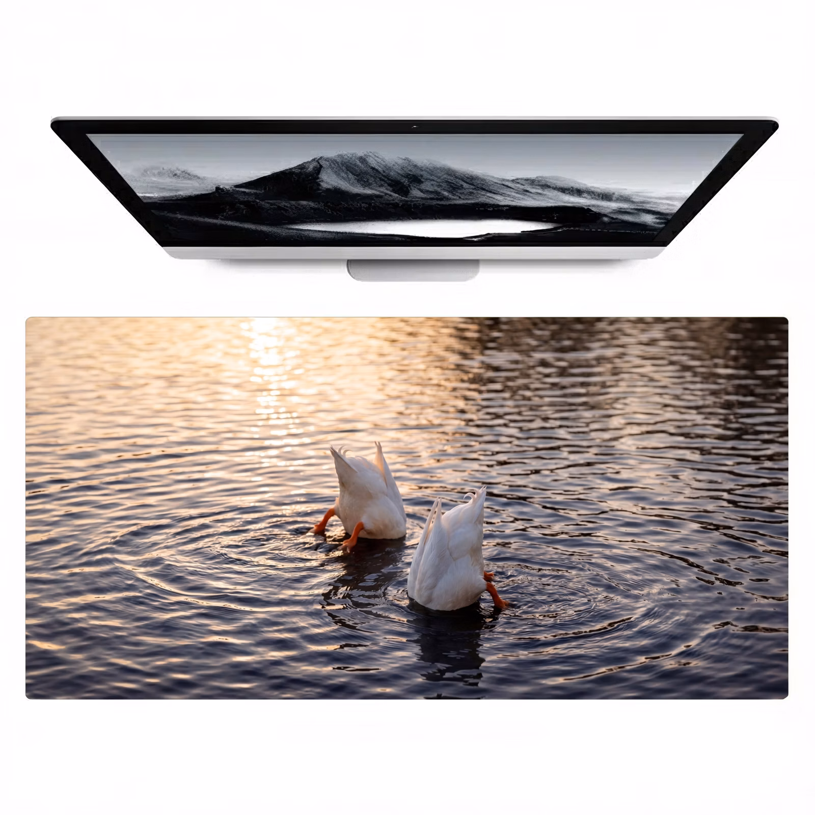 Bureau onderlegger - Eenden - Water - Natuur — 1