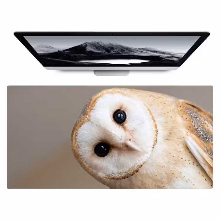 Bureau onderlegger - Uil - Bruin - Wit — 1
