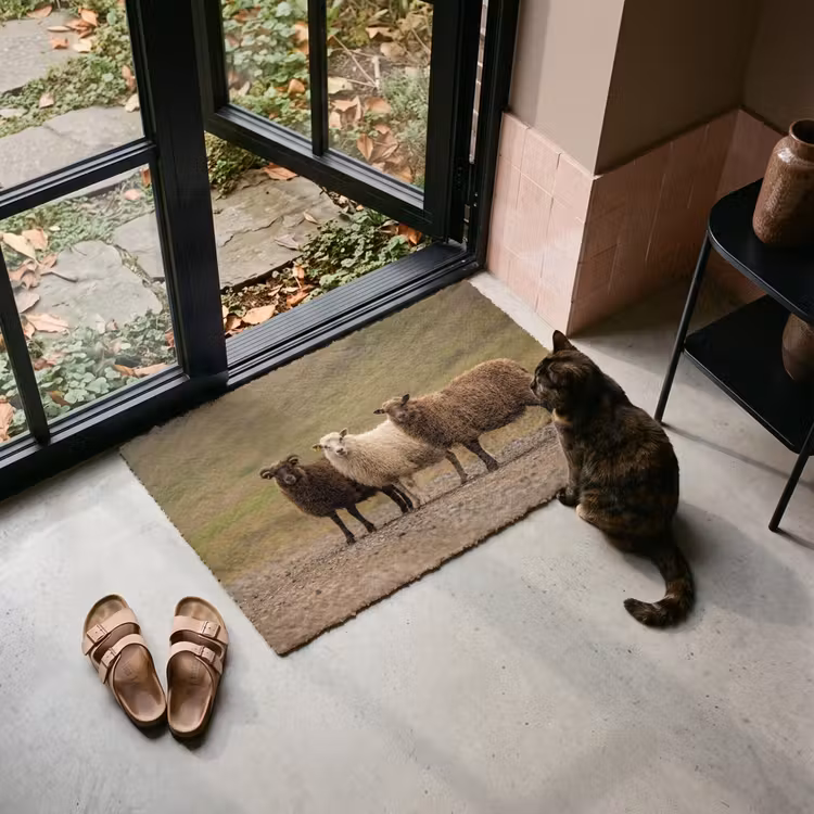 Deurmat - Schapen - Bruin - Wit - Grindpad — 2