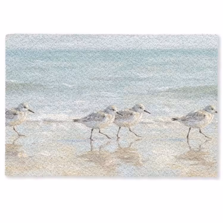 Deurmat - Vogels - Strand - Zee — 1