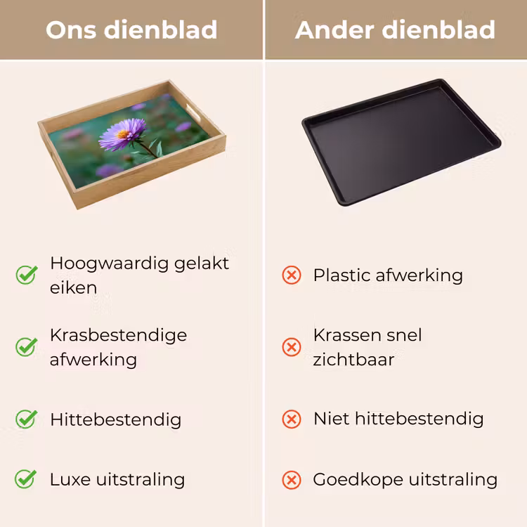 Dienblad - Aster - Paars - Bloem - Blaadjes — 9
