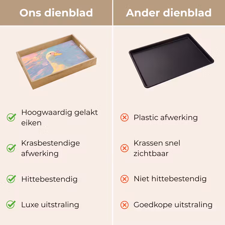 Dienblad - Eend - Zonnebril - Water — 9