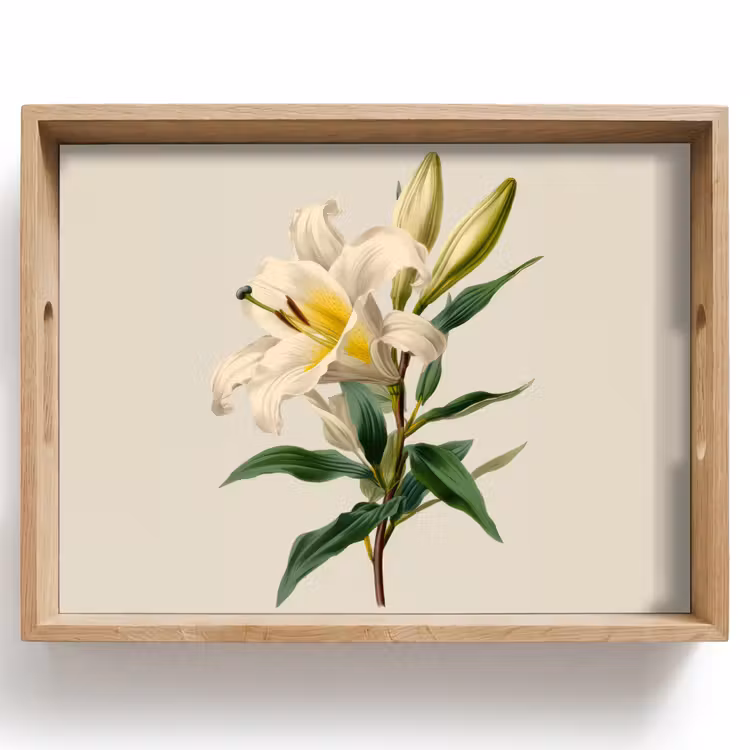 Dienblad - Lelie - Elegant - Botanisch - Beige — 1
