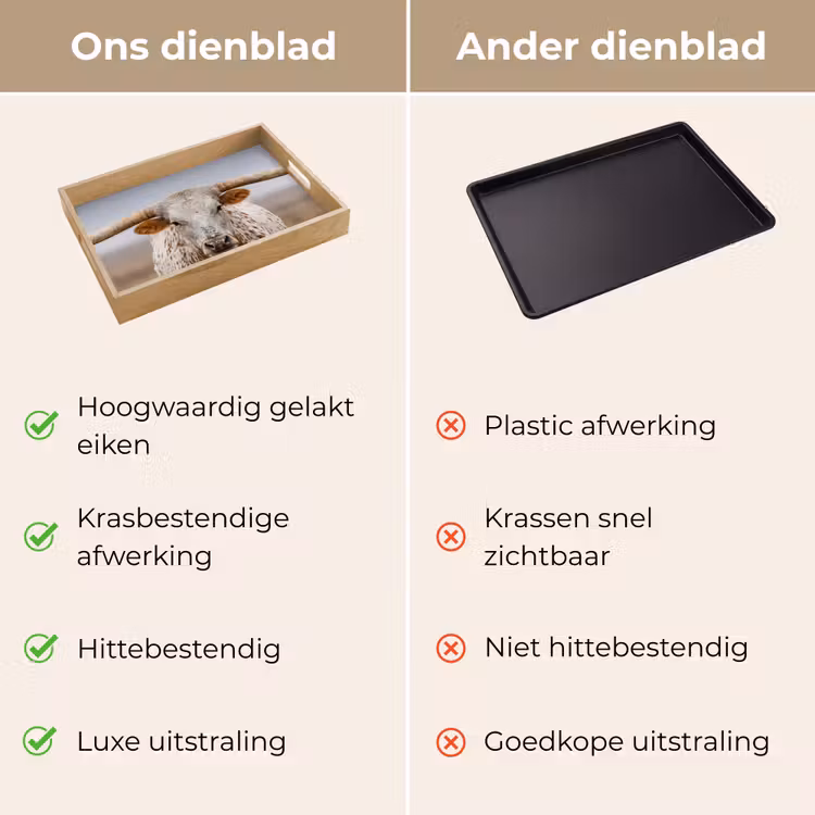 Dienblad - Longhorn - Grasveld - Dier — 9