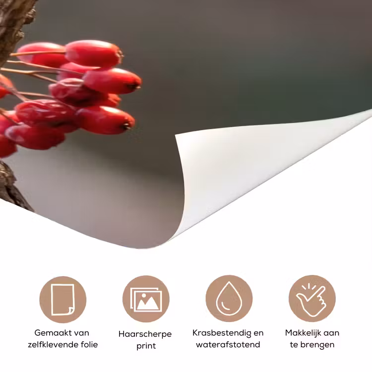 Deursticker - Roodborst - Tak - Bessen - Natuur — 3