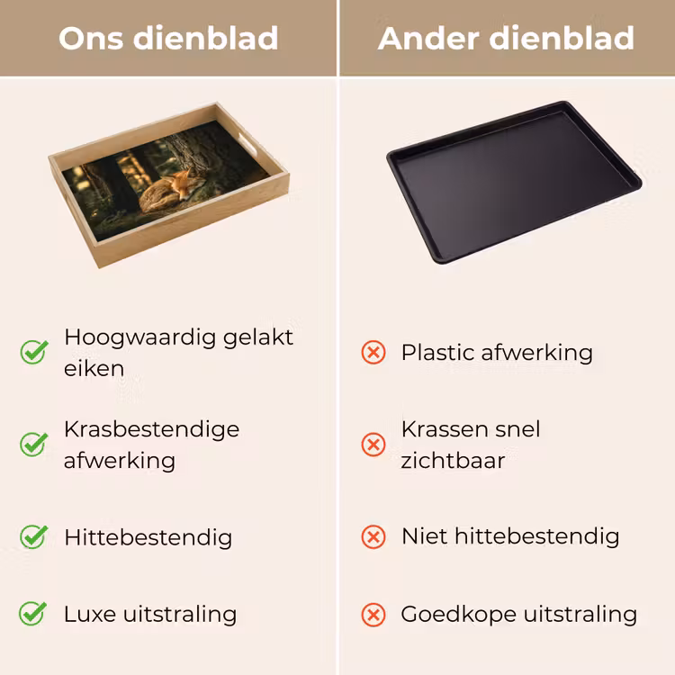 Dienblad - Vos - Bos - Slapen — 9