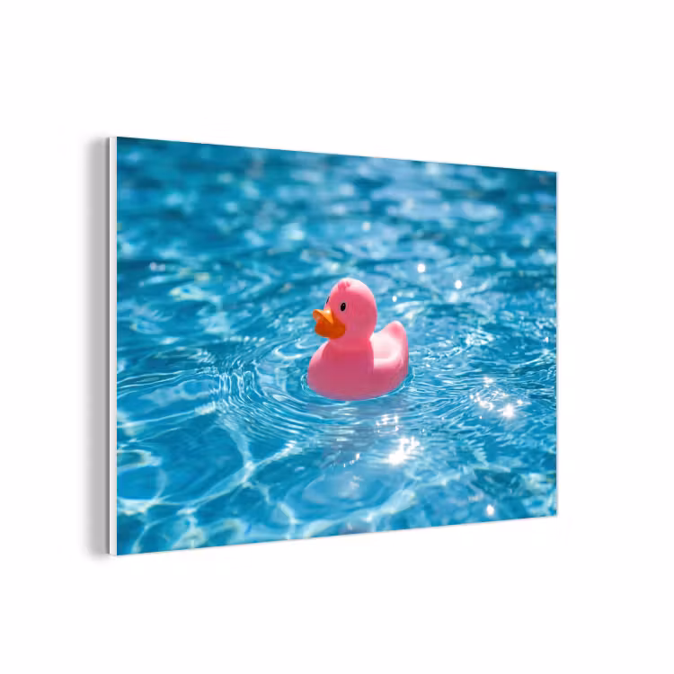 Forex - Badeend - Dobberend - Roze — 1