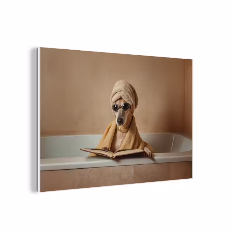 Forex - Bad - Hond - Boek - Zonnebril — 1