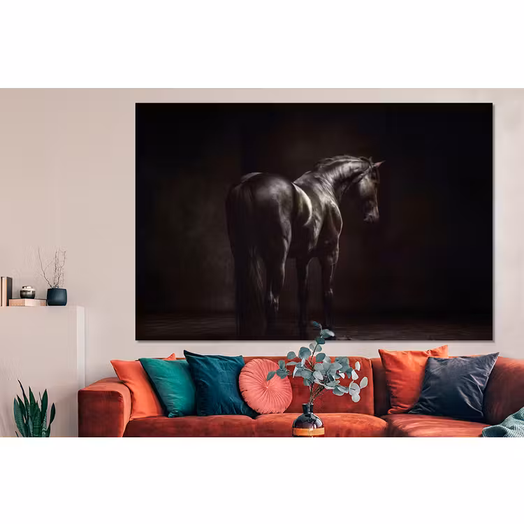 Forex - Krachtig - Paard - Donker — 4
