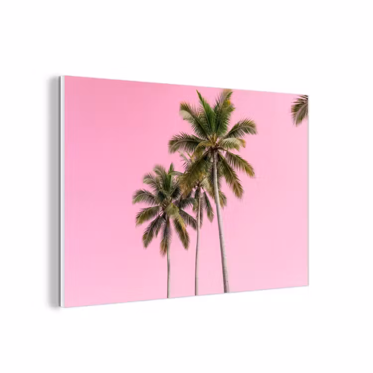 Forex - Palmboom - Tropisch - Pink — 1