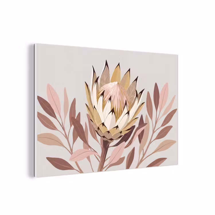 Forex - Protea - Bloem - Botanisch - Beige — 1