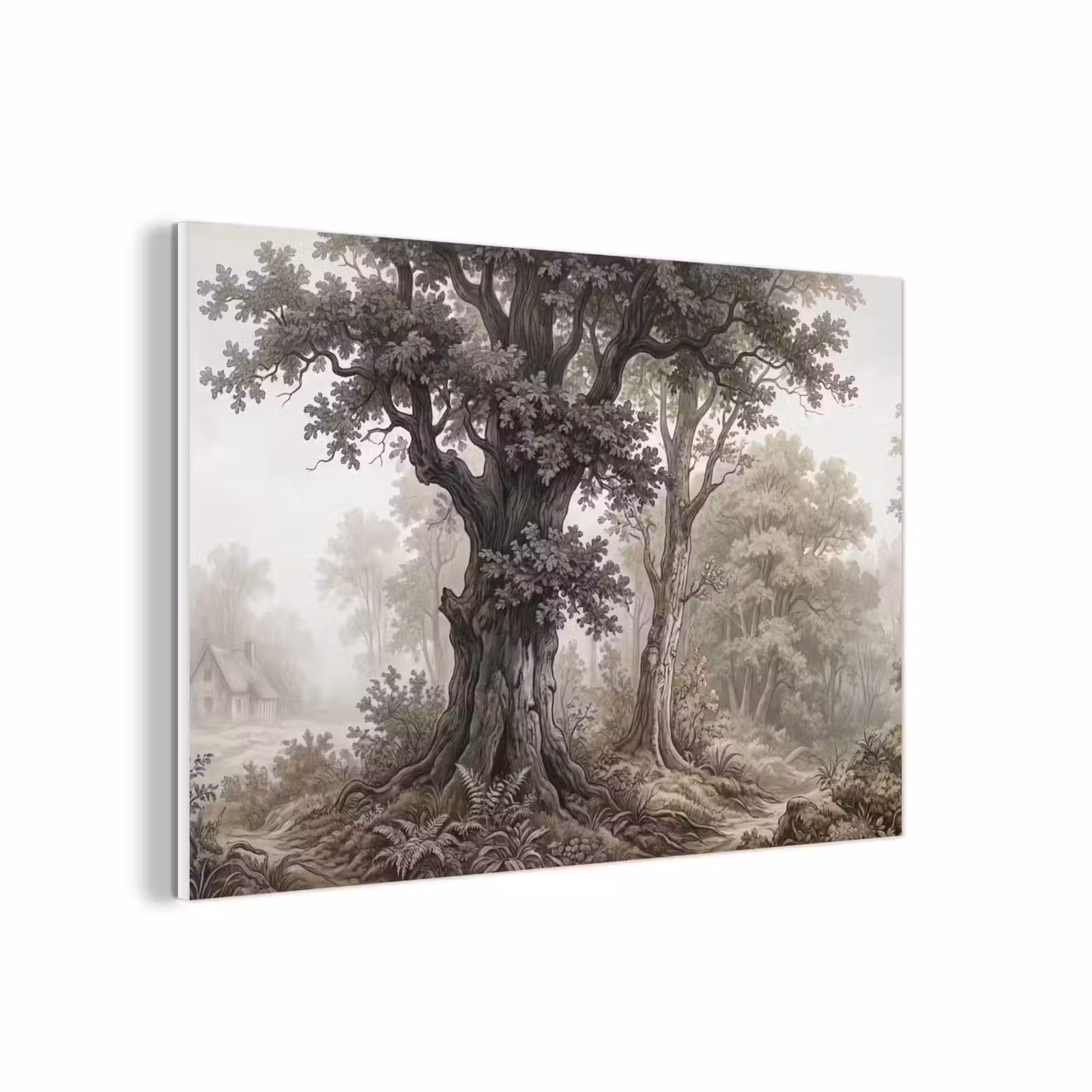 Forex - Natuur - Bos - Eik — 1