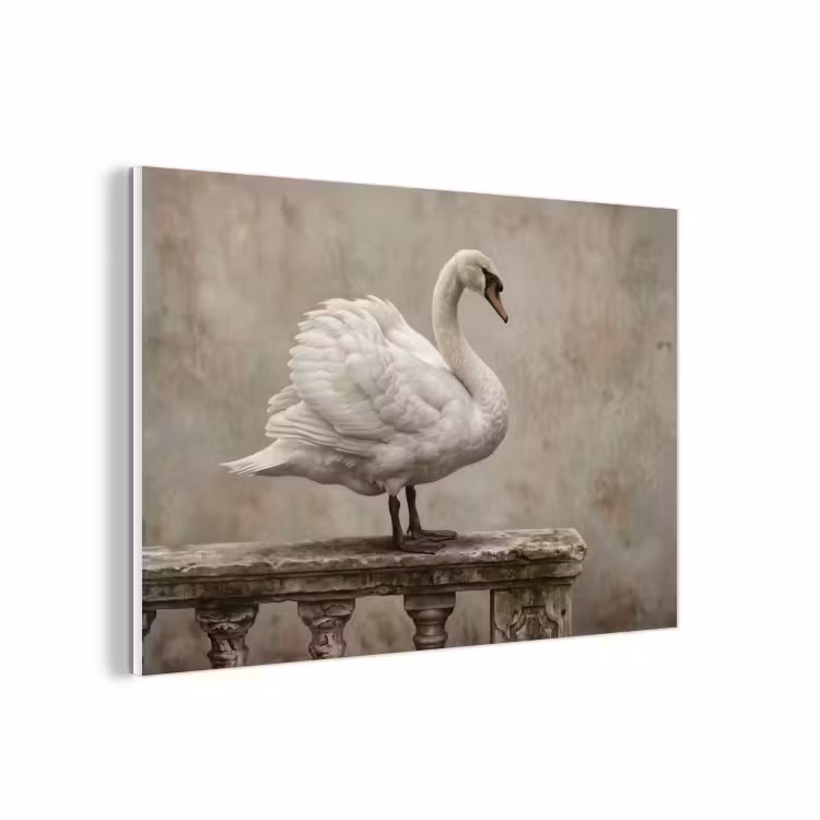 Forex - Zwaan - Elegant - Dieren - Wit — 1
