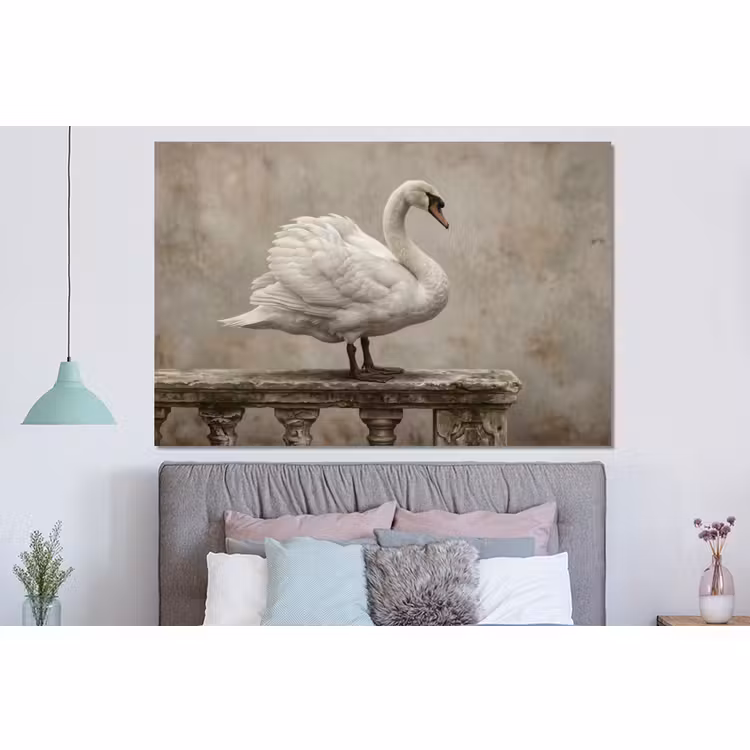 Forex - Zwaan - Elegant - Dieren - Wit — 3
