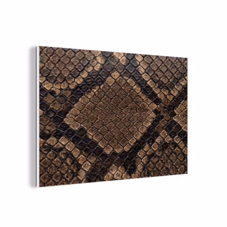 Forex - Python - Schubben - Brons — 1