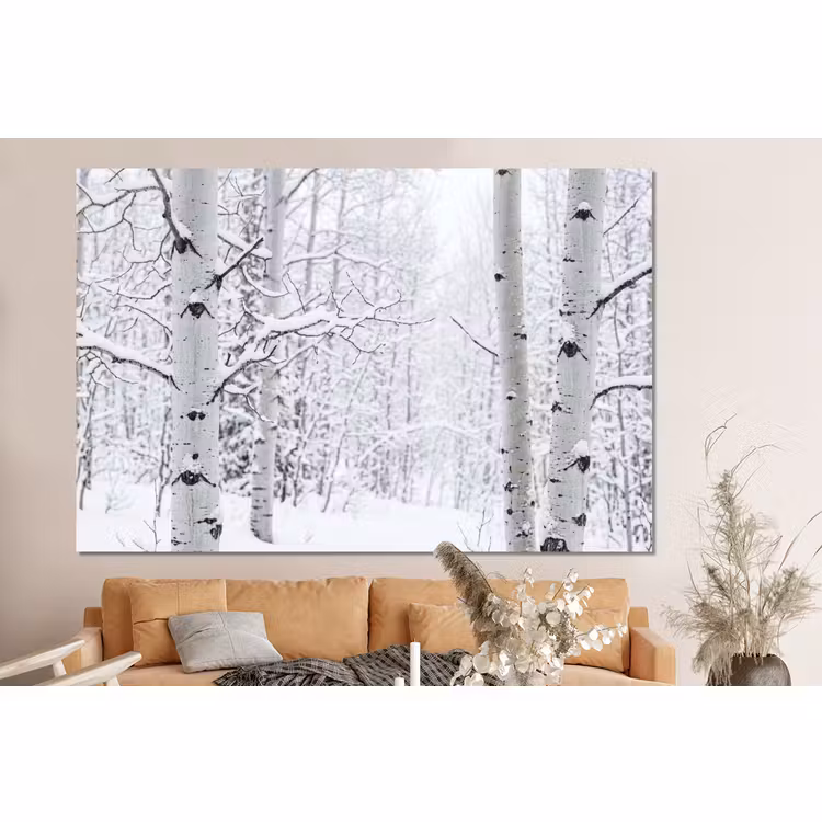 Forex - Berkenbomen - Sneeuw - Winter - Bos - Wit — 2