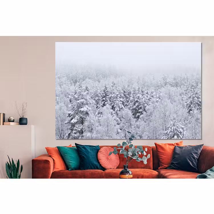 Forex - Bos - Sneeuw - Winter - Natuur - Wit — 4