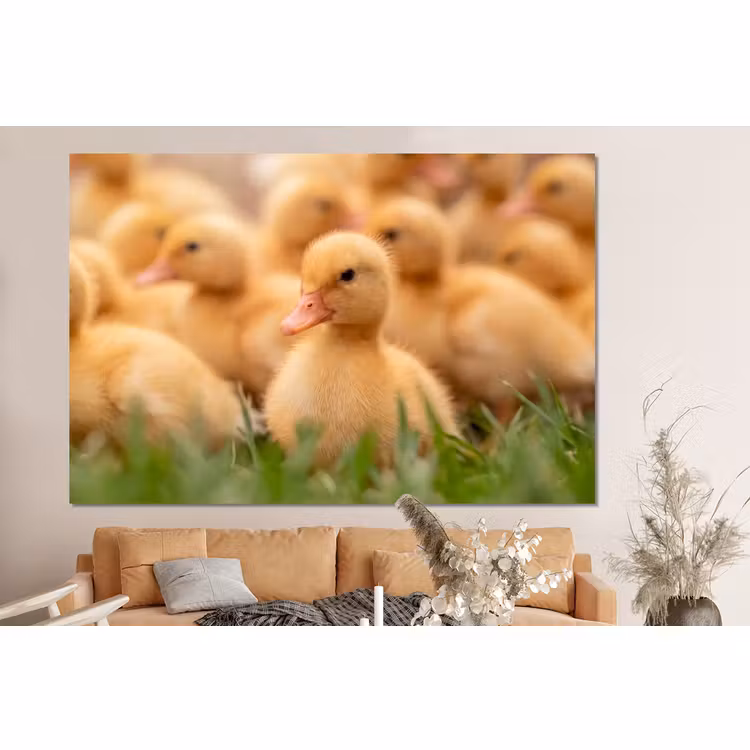 Forex - Pijltje - Eend - Natuur - Geel — 2
