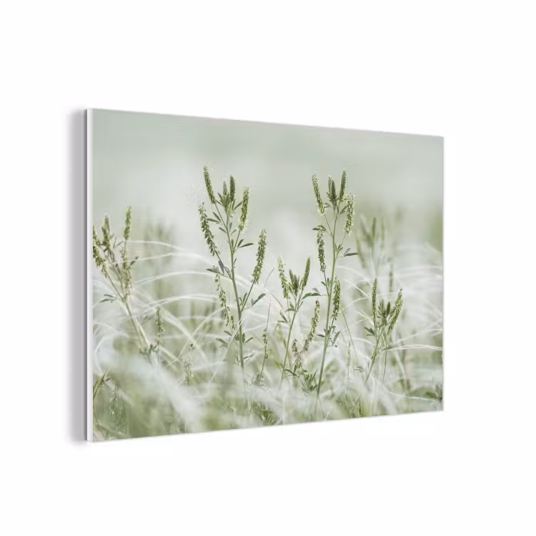 Forex - Grassen - Minimalistisch - Groen — 1