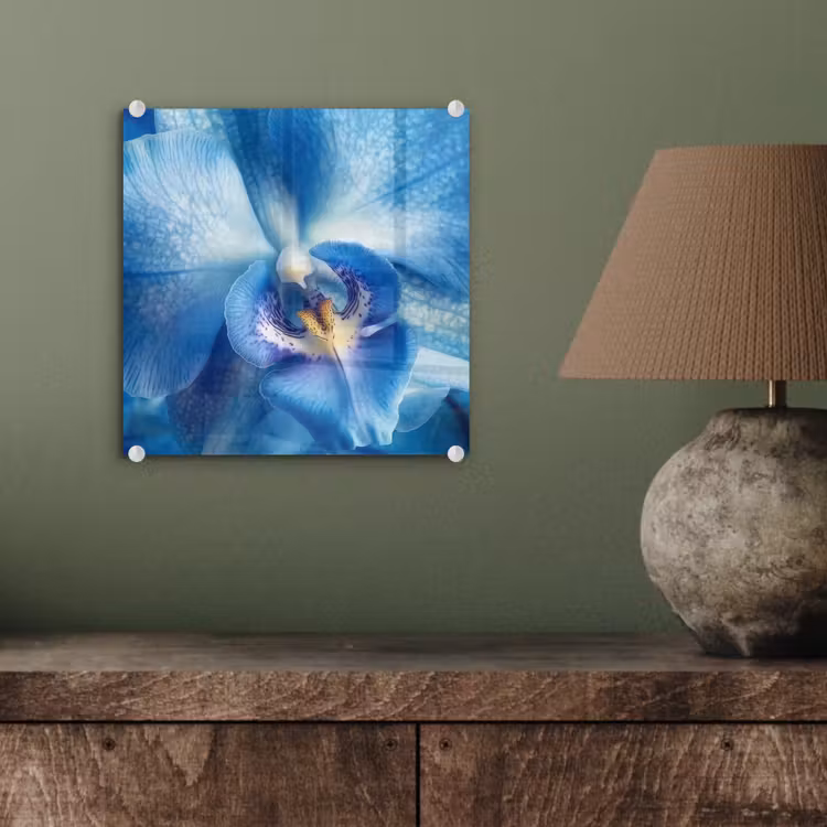 Glas schilderij - Blauw - Orchidee - Elegeant — 4
