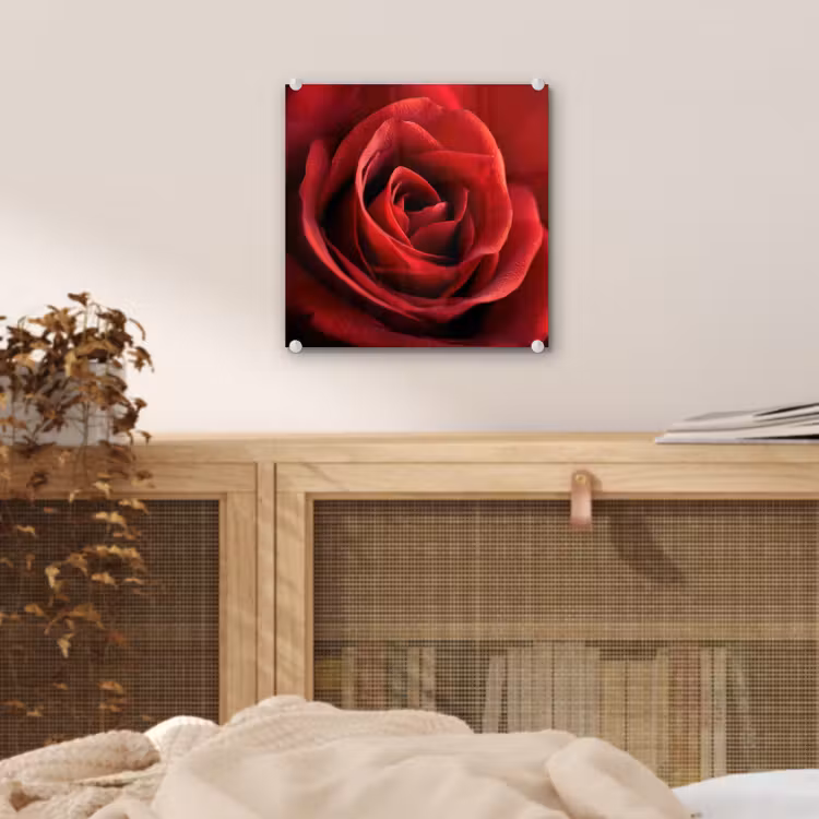 Glas schilderij - Rood - Roos - Romantisch — 5