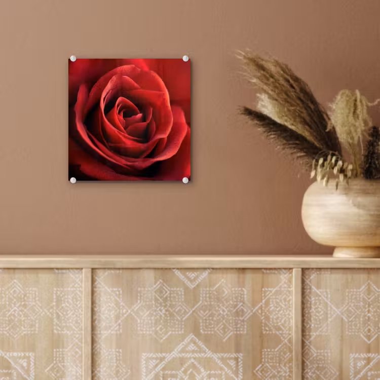 Glas schilderij - Rood - Roos - Romantisch — 6