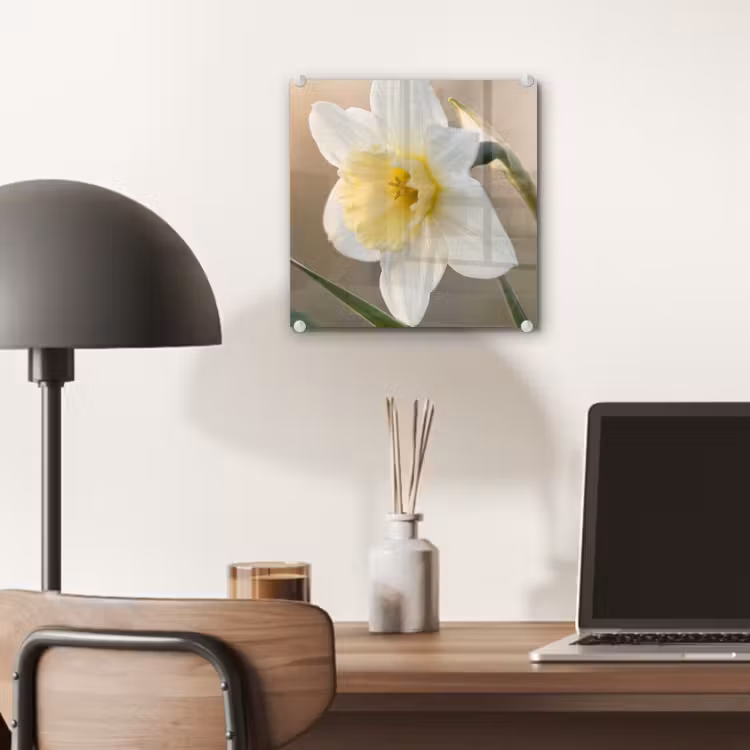 Glas schilderij - Narcis - Bloem - Minimalistisch — 7