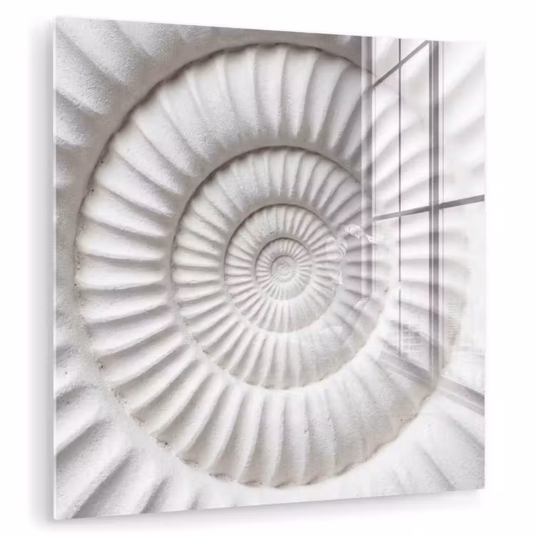 Glas schilderij - Schelp - Spiraal - Wit — 1