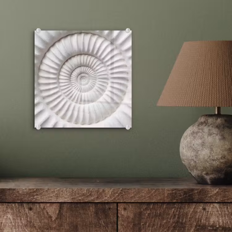 Glas schilderij - Schelp - Spiraal - Wit — 4