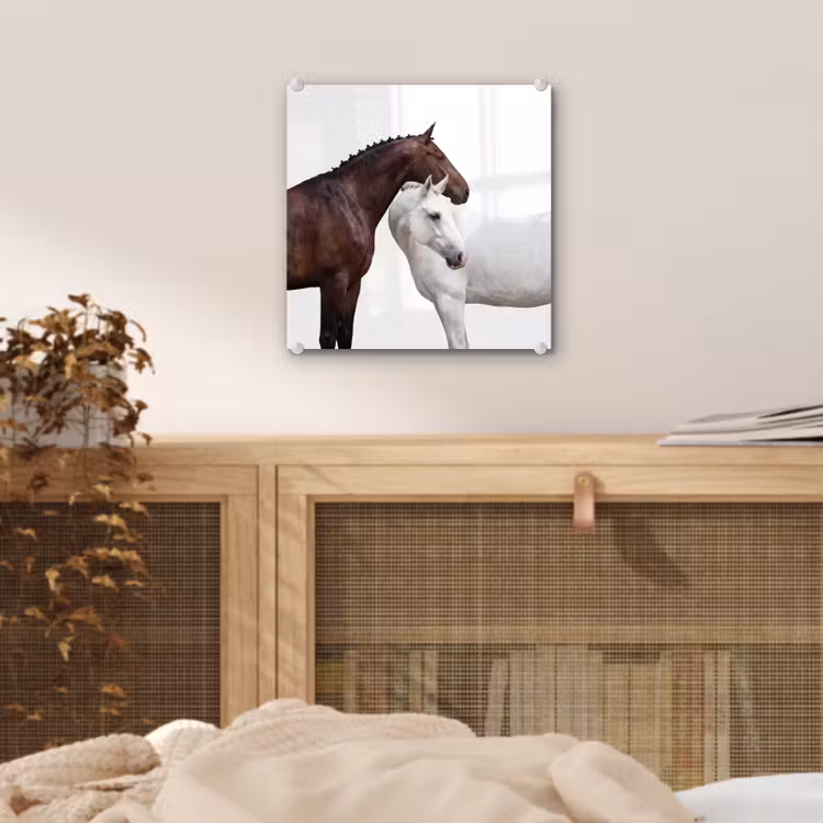 Glas schilderij - Paard - Modern - Balans — 5