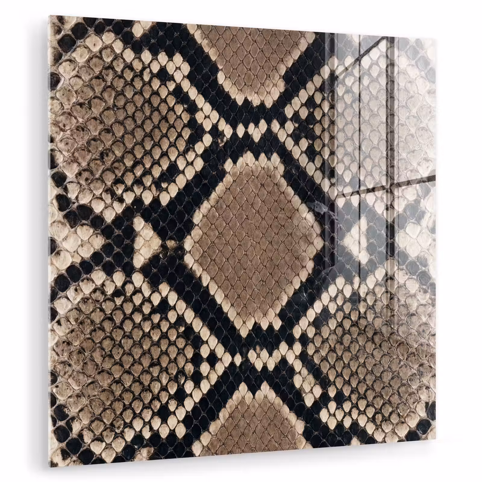 Glas schilderij - Slangenprint - Python - Bruin — 1