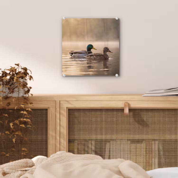 Glas schilderij - Eenden - Water - Mist - Natuur — 5